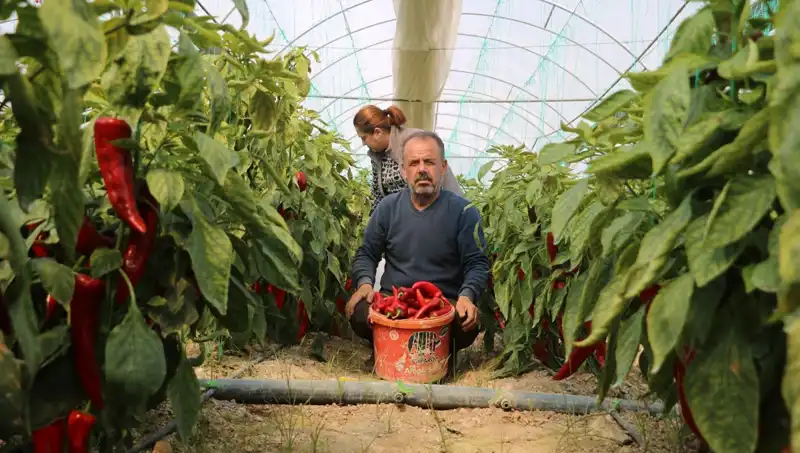 Fiyat Artışı Tüketiciyi Şoke Etti: Yüzde 50 Zam!