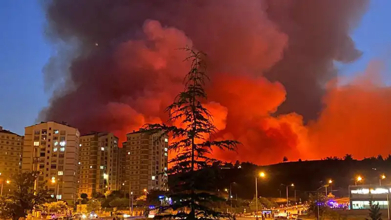 Bursa'da Yangınların Yarattığı Korkutucu Etkiler ve Son Gelişmeler