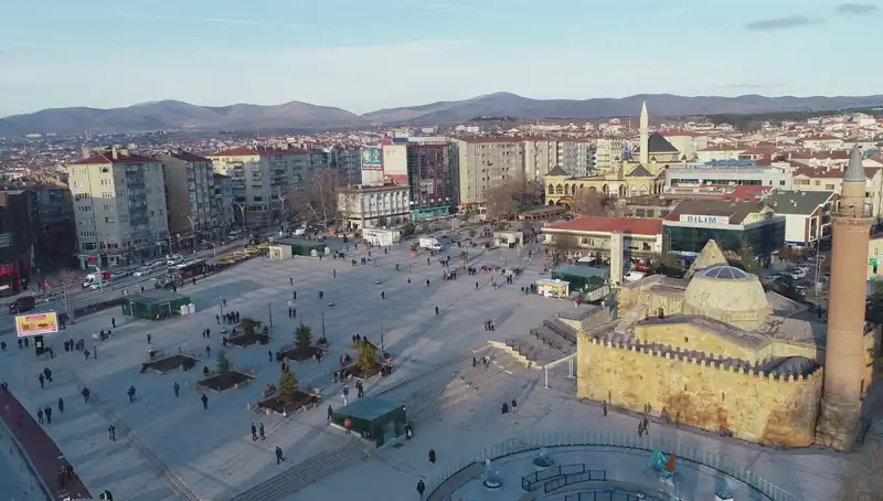 Kırşehir'de Bilim Dünyasını Şaşırtan Yeni Böcek Türü Keşfedildi!