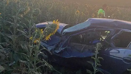 Otomobil Ayçiçeği Tarlasına Devrildi: Korkutan Kaza Ayrıntıları Ortaya Çıktı