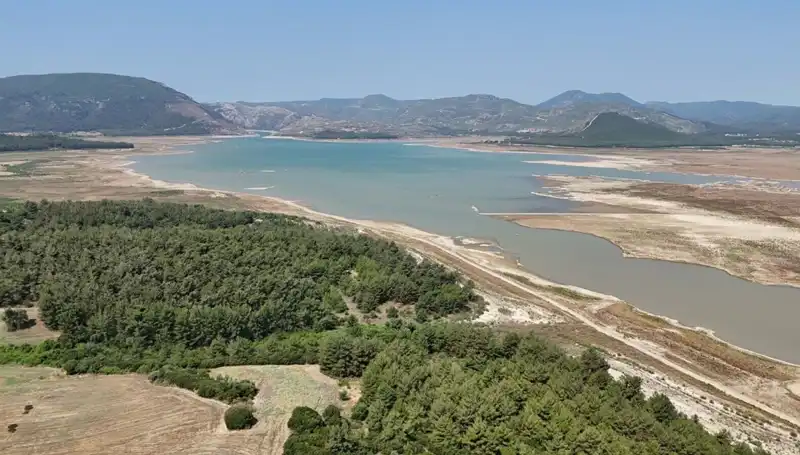 İzmir'de Tehlike Çanları Çalmaya Başladı: 2023'te Ciddi Düşüşler Yaşandı