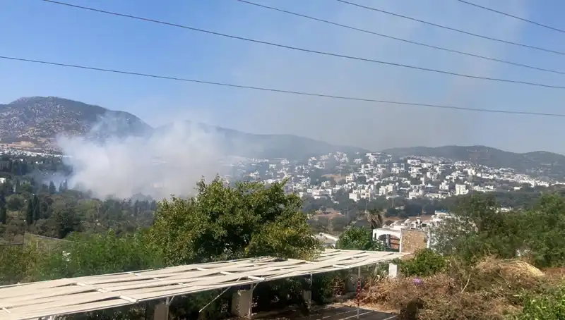 Muğla Orman Yangınları Kontrol Altına Alındı: Doğa Yeniden Hayat Bulacak