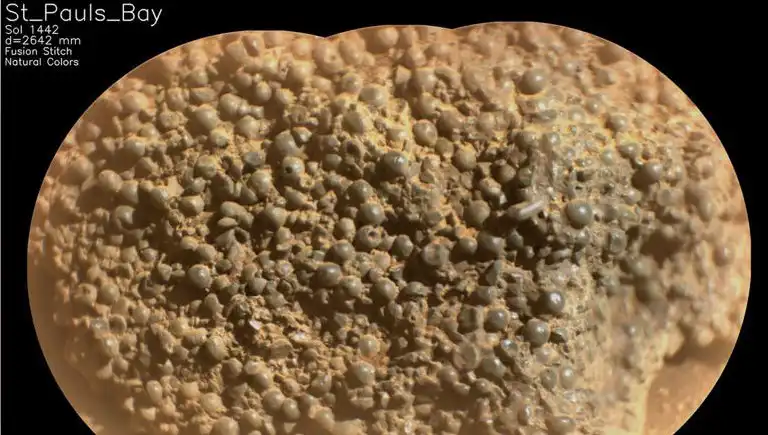Mars'ta Ulaştığımız Yeni Dönem: Örümcek Yumurtaları mı Bulundu?