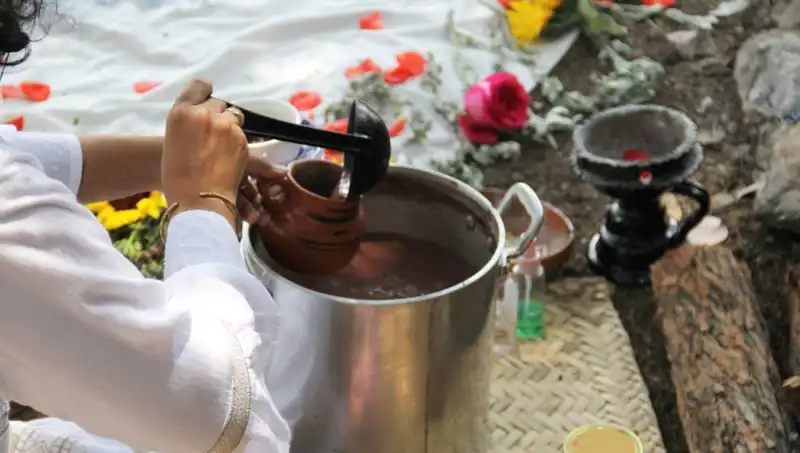 Ayahuasca: Gizemli Çayın Faydaları ve Yasaklı Durumu Nedir?