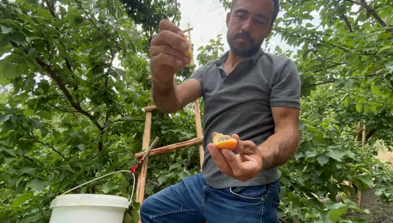 Tadı Damağınızda Kalacak: 50 TL ile 70 TL Arasındaki Lezzet Fırtınası