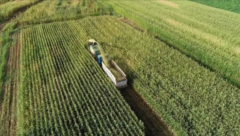 2025 Mart Ayı Mazot ve Gübre Desteği Ödemeleri İçin Gözler Bakanlıkta