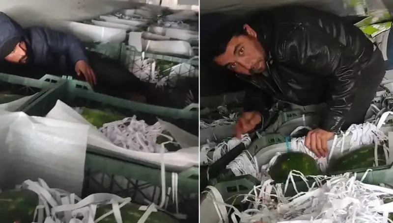 Karpuzların Arasından Çıkan Göçmenler: Sıradan Bir Gün Değil!